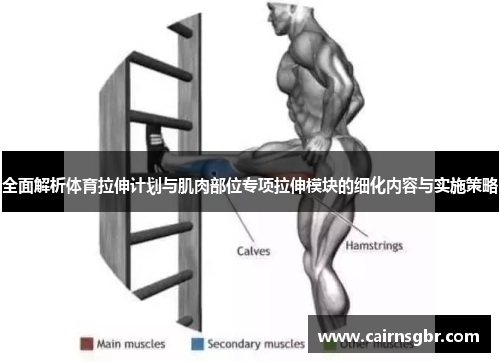 全面解析体育拉伸计划与肌肉部位专项拉伸模块的细化内容与实施策略
